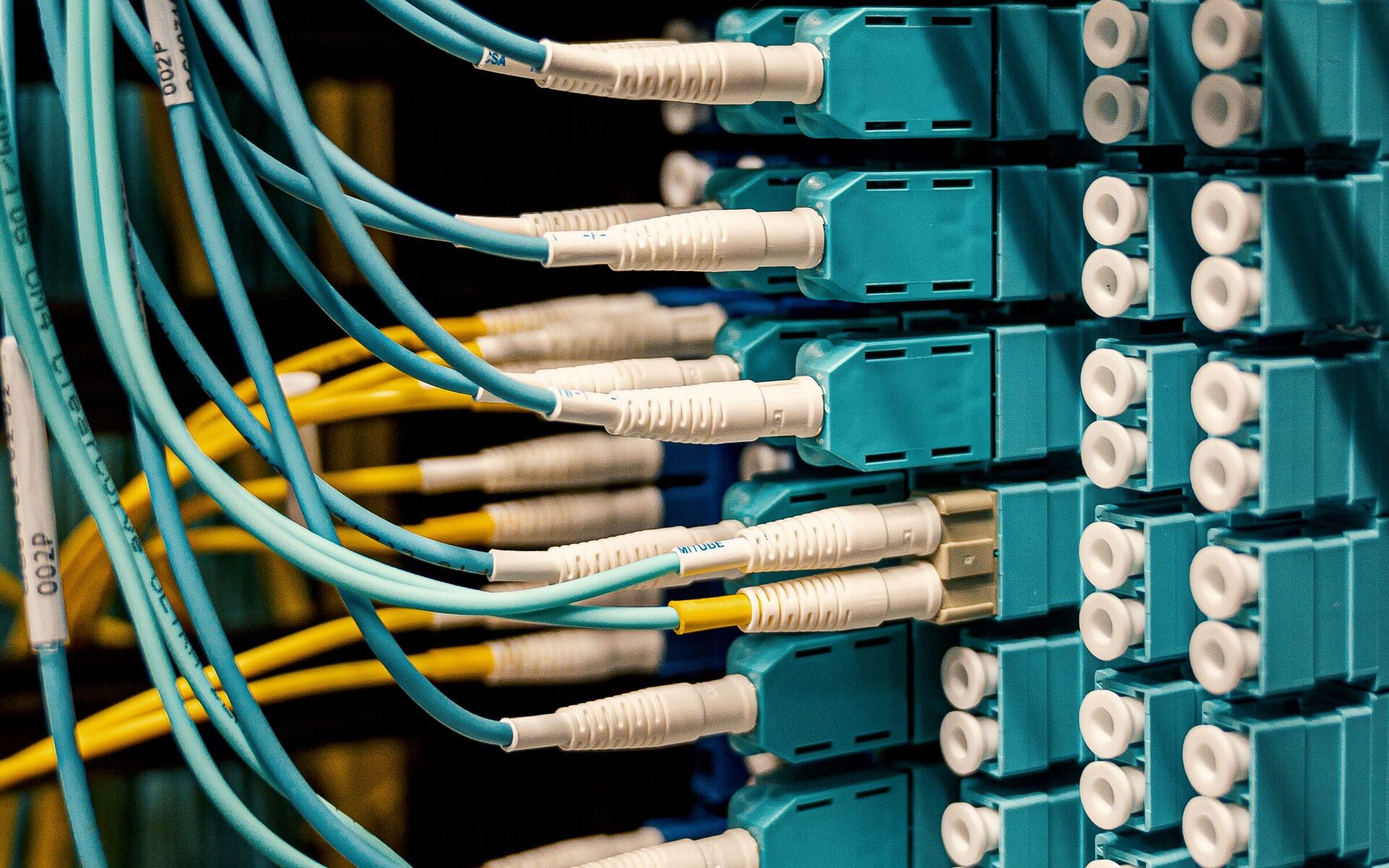 Cyan LC fibre patch cables connected into a colocation patch panel